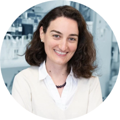 Dr. N Sumru Bayin